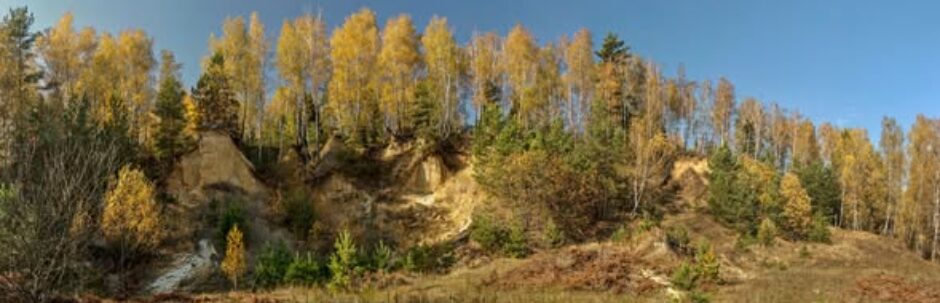 Мезинський національний природний парк