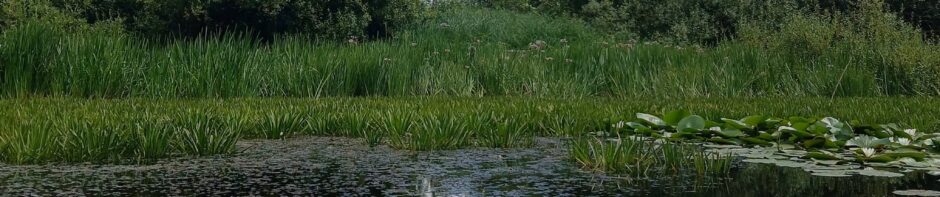 Мезинський національний природний парк